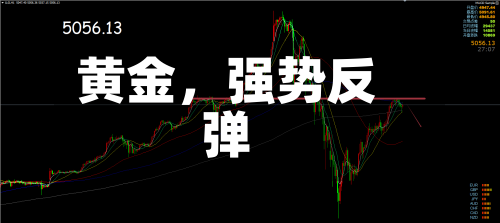 黄金	，强势反弹-第2张图片