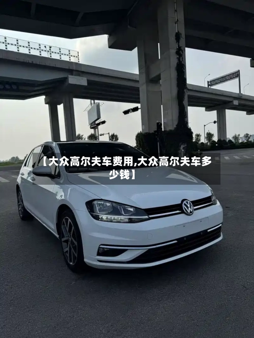 【大众高尔夫车费用,大众高尔夫车多少钱】