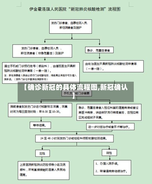 【确诊新冠的具体流程图,新冠确认】-第3张图片