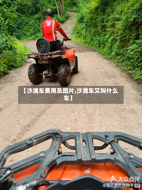 【沙滩车费用及图片,沙滩车又叫什么车】