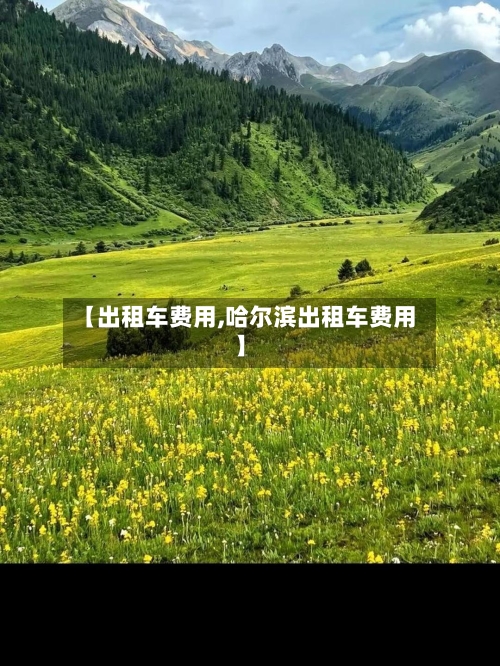 【出租车费用,哈尔滨出租车费用】-第2张图片