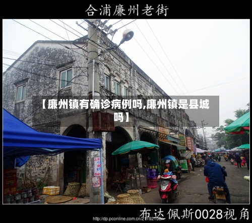 【廉州镇有确诊病例吗,廉州镇是县城吗】