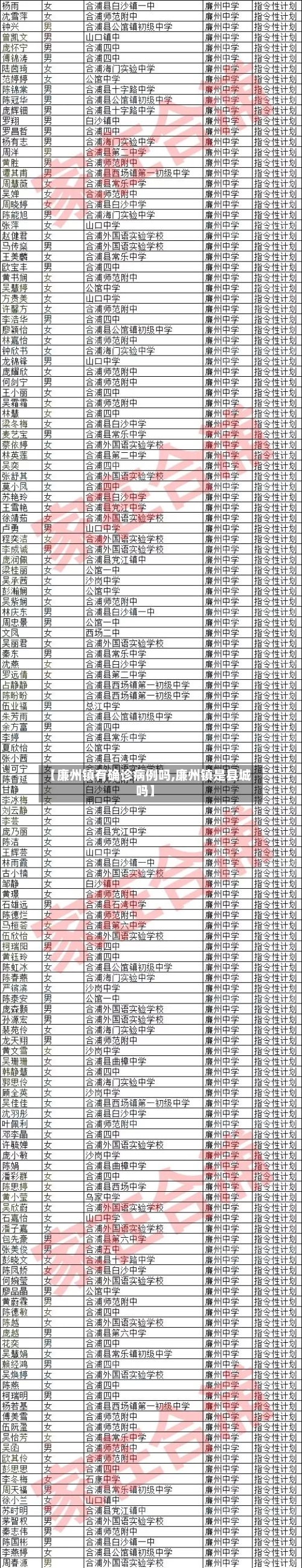 【廉州镇有确诊病例吗,廉州镇是县城吗】-第3张图片