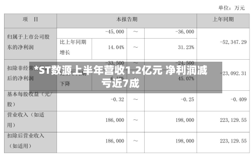 *ST数源上半年营收1.2亿元 净利润减亏近7成-第2张图片