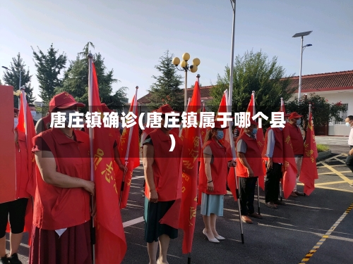 唐庄镇确诊(唐庄镇属于哪个县)