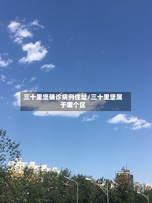 三十里堡确诊病例住址/三十里堡属于哪个区