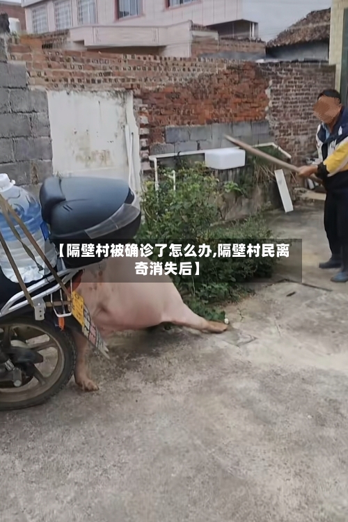 【隔壁村被确诊了怎么办,隔壁村民离奇消失后】-第2张图片