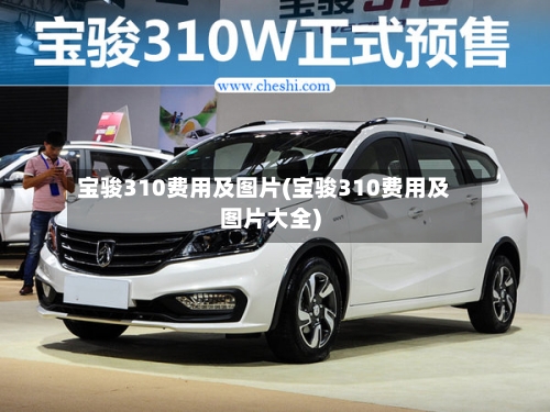 宝骏310费用及图片(宝骏310费用及图片大全)-第2张图片