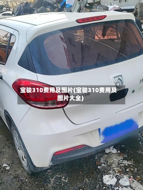 宝骏310费用及图片(宝骏310费用及图片大全)