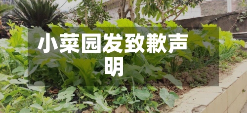 小菜园发致歉声明