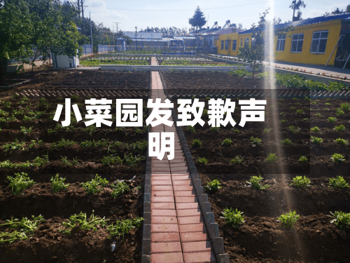 小菜园发致歉声明-第3张图片