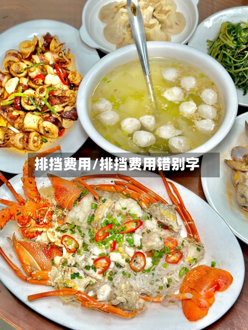排挡费用/排挡费用错别字