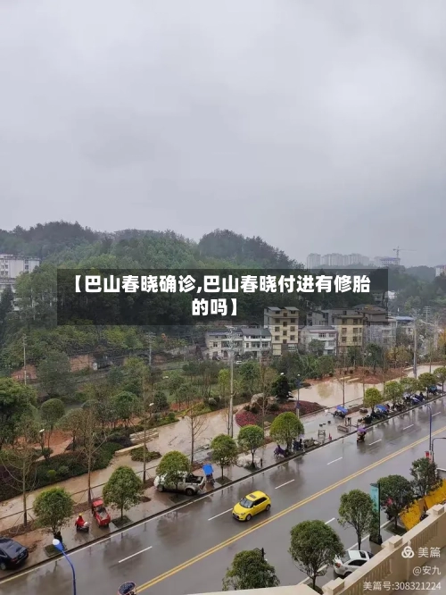 【巴山春晓确诊,巴山春晓付进有修胎的吗】-第2张图片