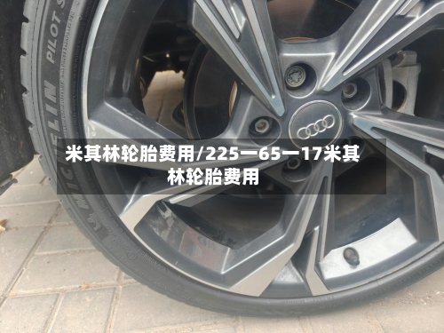 米其林轮胎费用/225一65一17米其林轮胎费用-第2张图片