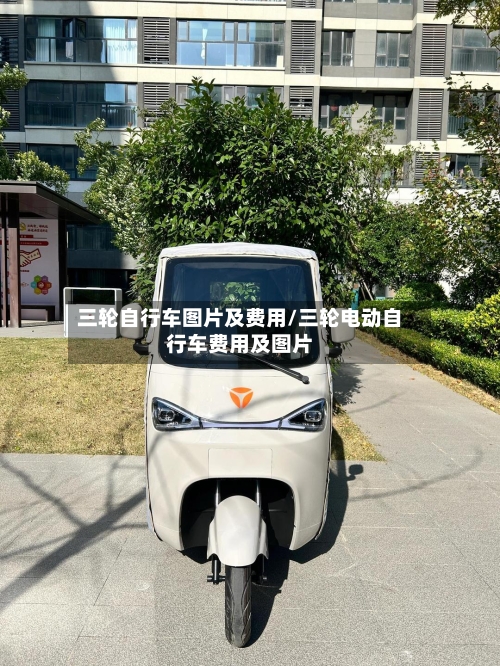 三轮自行车图片及费用/三轮电动自行车费用及图片