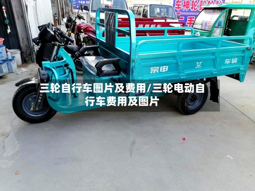 三轮自行车图片及费用/三轮电动自行车费用及图片-第2张图片