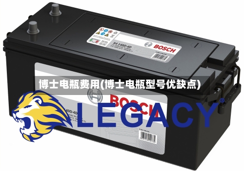 博士电瓶费用(博士电瓶型号优缺点)-第2张图片