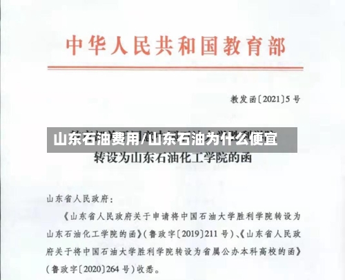 山东石油费用/山东石油为什么便宜-第2张图片