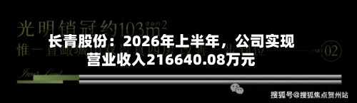 长青股份：2026年上半年，公司实现营业收入216640.08万元-第2张图片