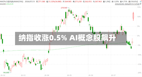 纳指收涨0.5% AI概念股飙升-第2张图片
