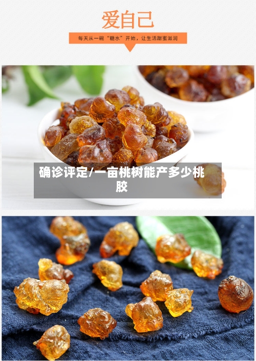 确诊评定/一亩桃树能产多少桃胶