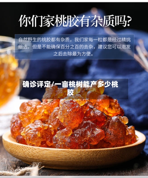 确诊评定/一亩桃树能产多少桃胶-第3张图片