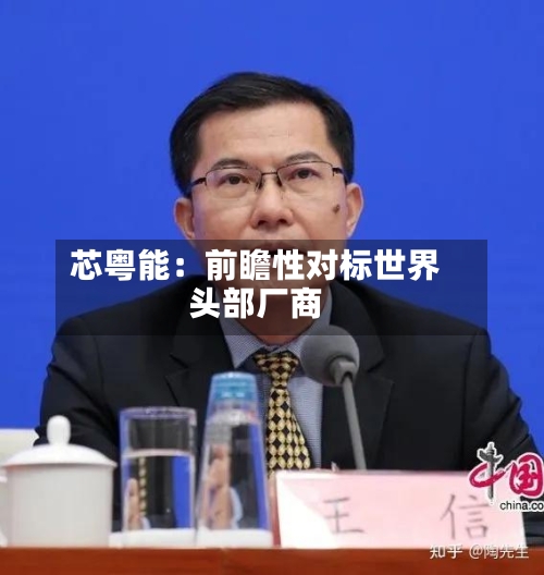 芯粤能:前瞻性对标世界
头部厂商-第2张图片
