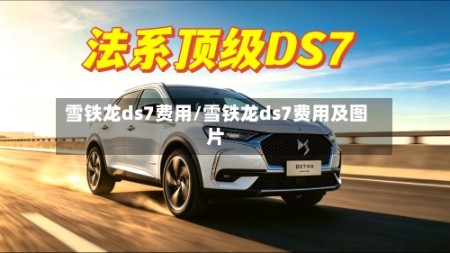 雪铁龙ds7费用/雪铁龙ds7费用及图片-第3张图片