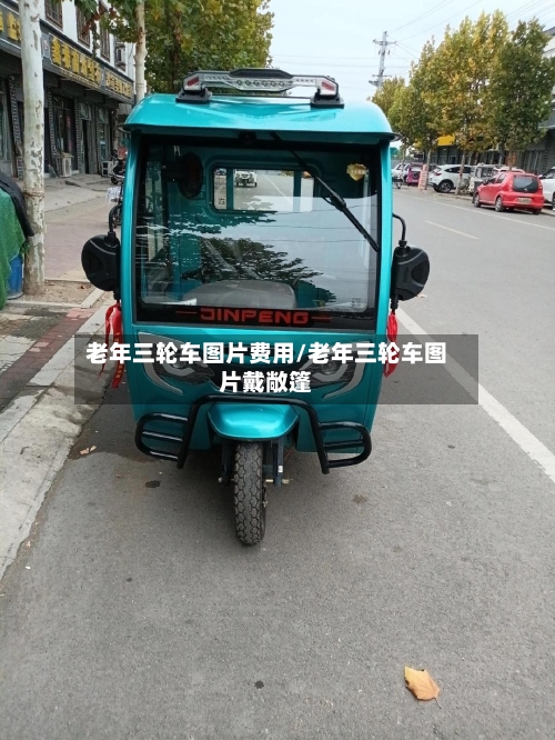 老年三轮车图片费用/老年三轮车图片戴敞篷-第3张图片
