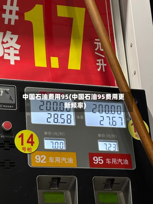 中国石油费用95(中国石油95费用更新频率)-第2张图片