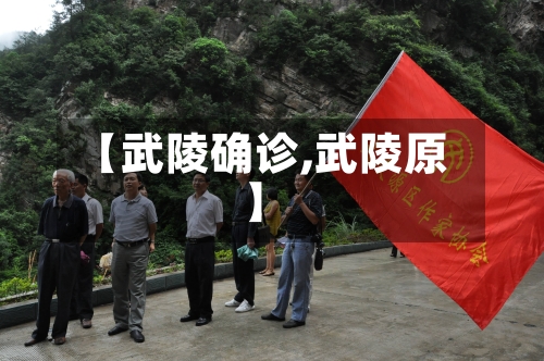 【武陵确诊,武陵原】-第3张图片