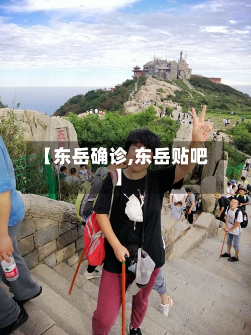 【东岳确诊,东岳贴吧】-第3张图片