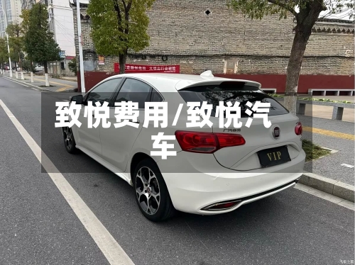 致悦费用/致悦汽车