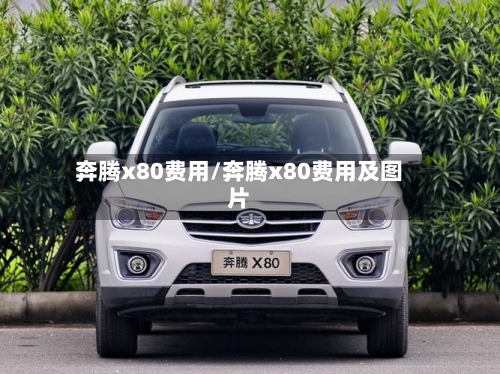 奔腾x80费用/奔腾x80费用及图片-第3张图片