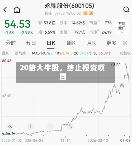 20倍大牛股，终止投资项目-第1张图片