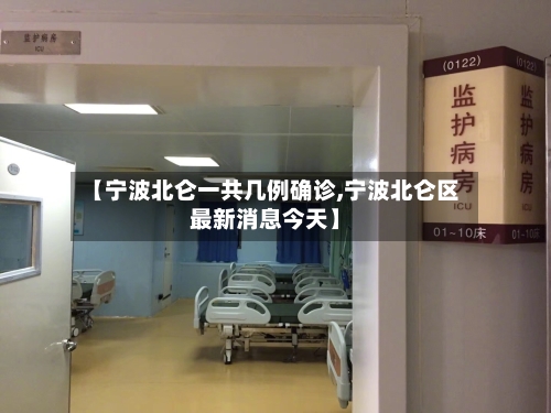 【宁波北仑一共几例确诊,宁波北仑区最新消息今天】