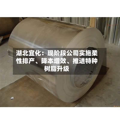 湖北宜化：现阶段公司实施柔性排产	、降本增效、推进特种树脂升级-第1张图片