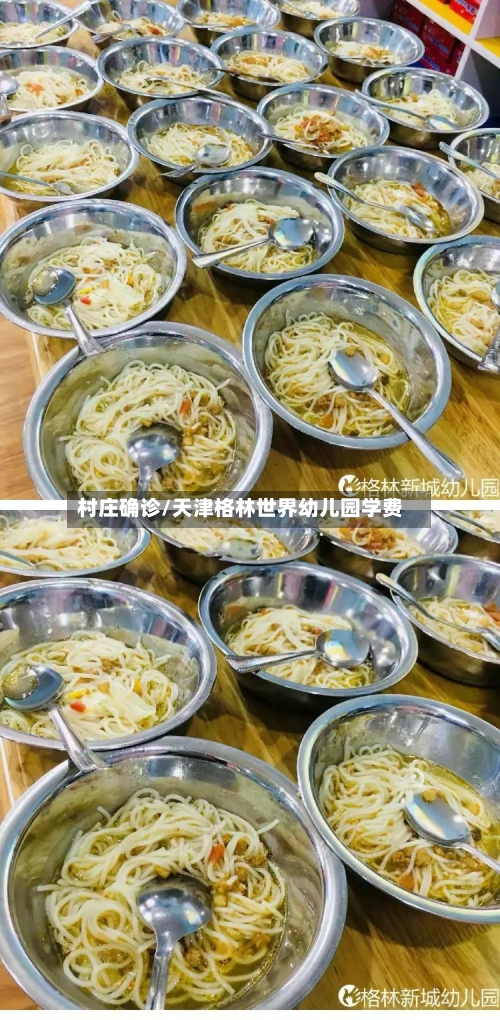 村庄确诊/天津格林世界幼儿园学费-第2张图片