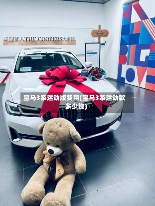 宝马3系运动版费用(宝马3系运动款多少钱)-第3张图片