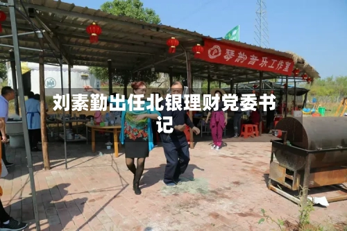 刘素勤出任北银理财党委书记