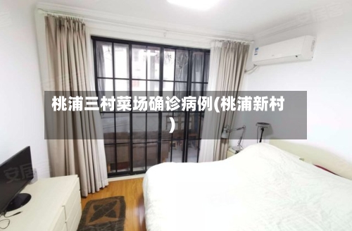 桃浦三村菜场确诊病例(桃浦新村)-第3张图片