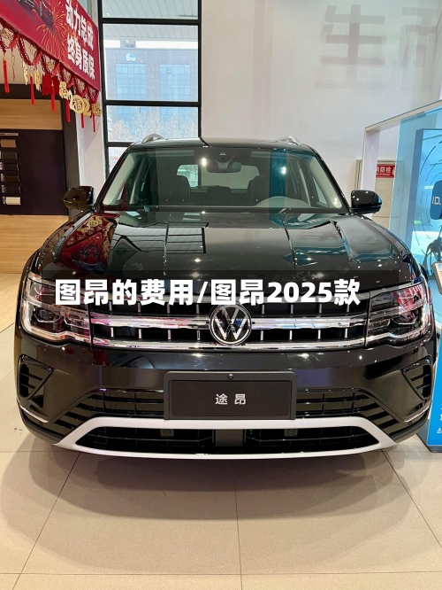 图昂的费用/图昂2025款
