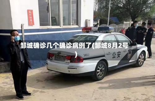 邹城确诊几个确诊病例了(邹城8月2号)