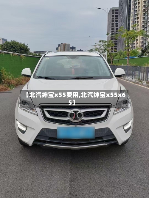 【北汽绅宝x55费用,北汽绅宝x55x65】