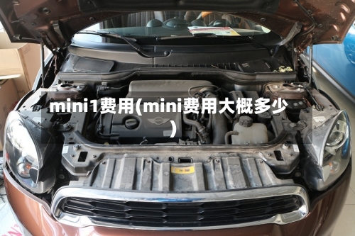mini1费用(mini费用大概多少)