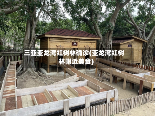 三亚亚龙湾红树林确诊(亚龙湾红树林附近美食)-第2张图片