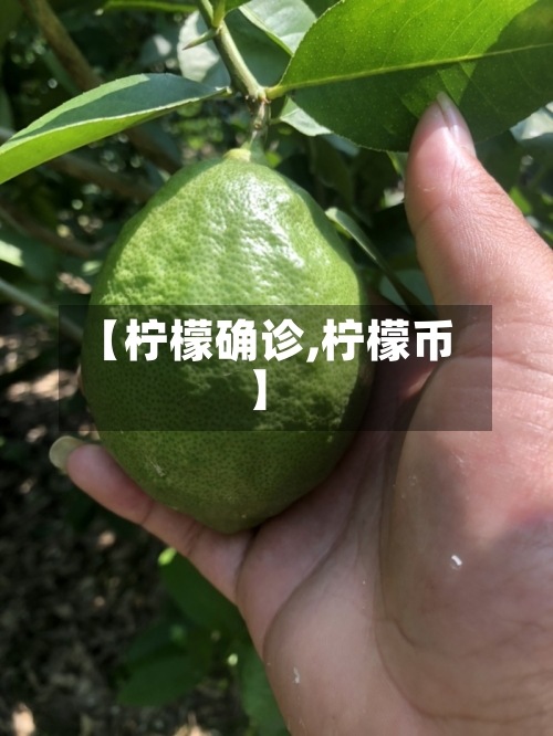 【柠檬确诊,柠檬币】