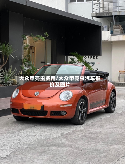 大众甲壳虫费用/大众甲壳虫汽车报价及图片