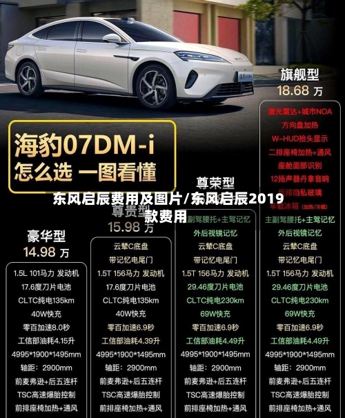 东风启辰费用及图片/东风启辰2019款费用-第3张图片