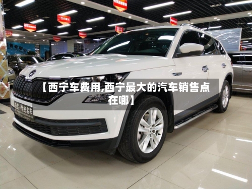 【西宁车费用,西宁最大的汽车销售点在哪】-第3张图片
